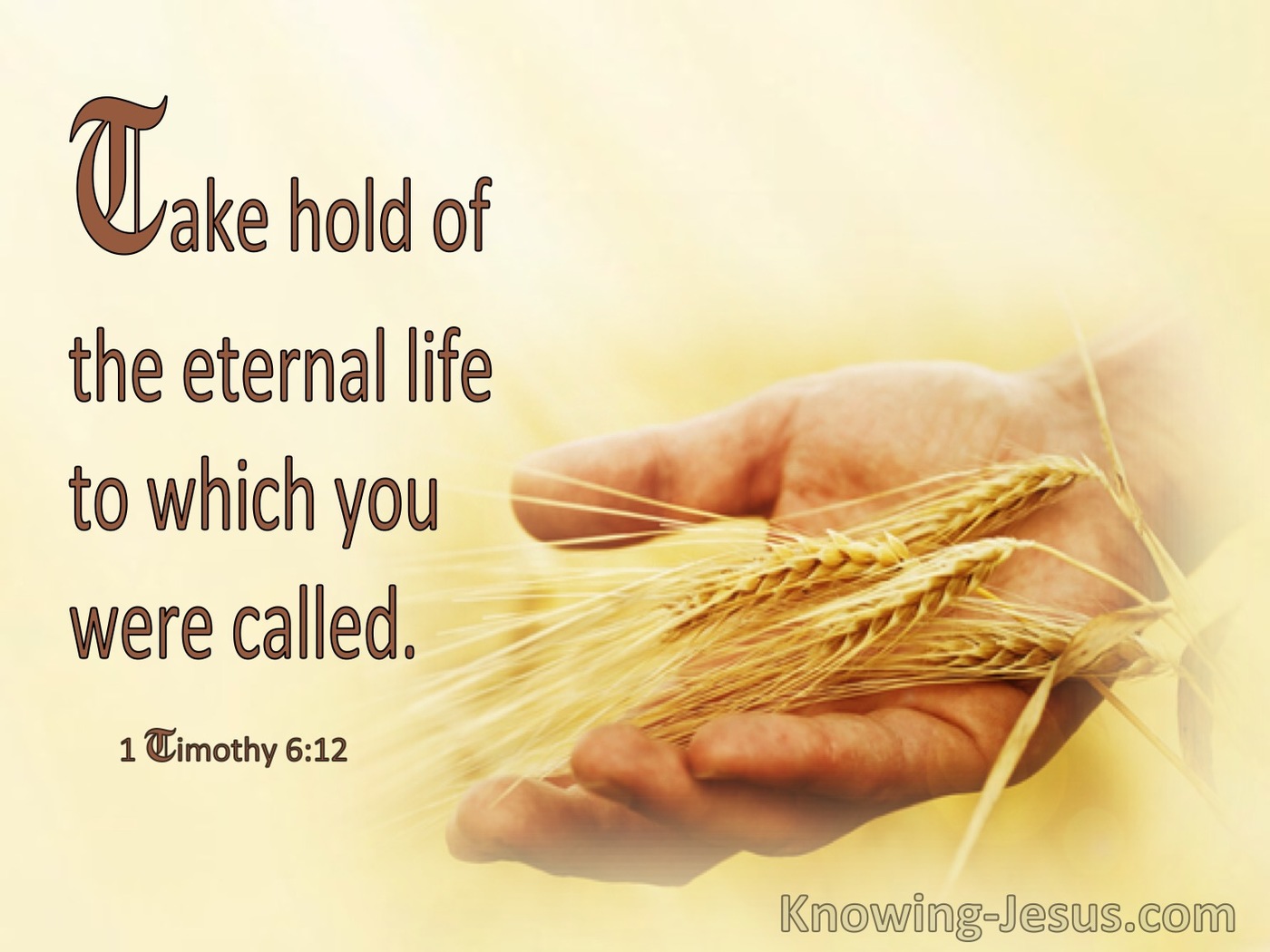 1 Timothy 6:12 Take Hold Of Eternal Life (windows)01:31